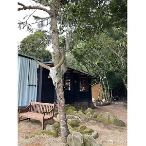 https://cabana-da-mata.santa-catarina-brasil.com